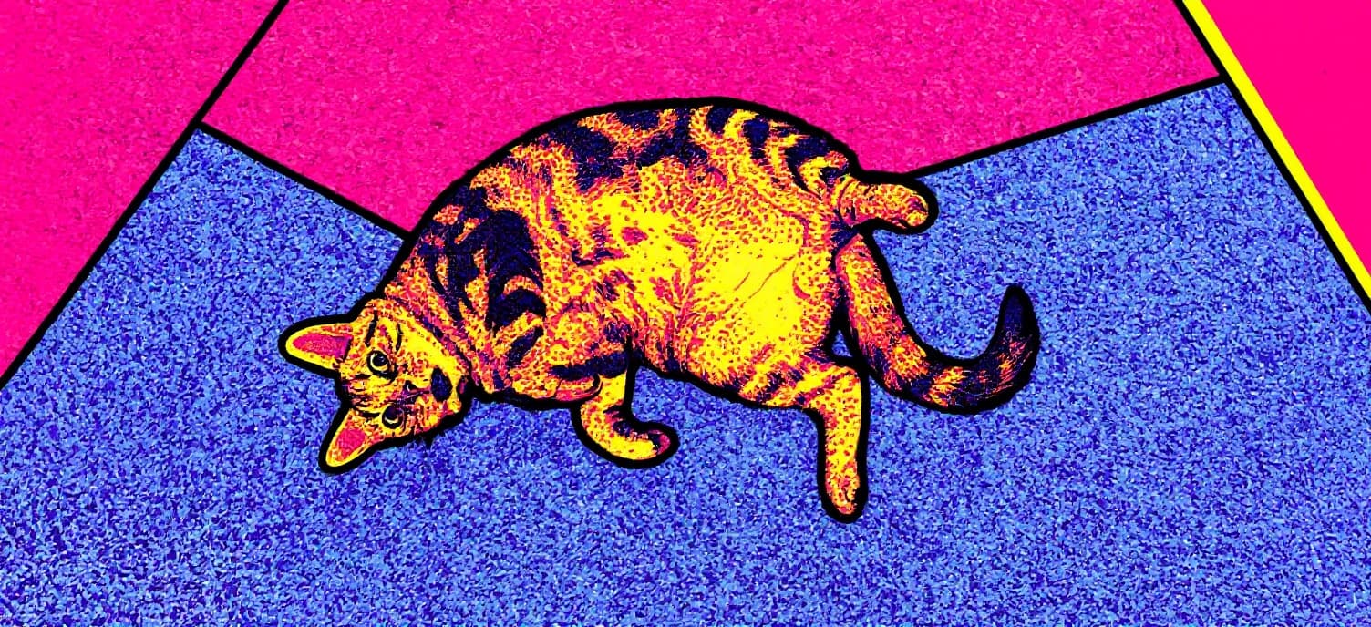 Transform image to pop-art art style