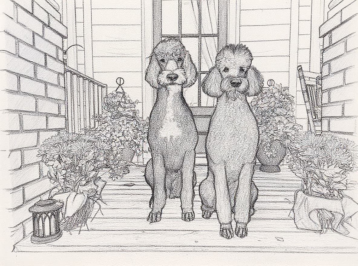 Transform image to sketch art style