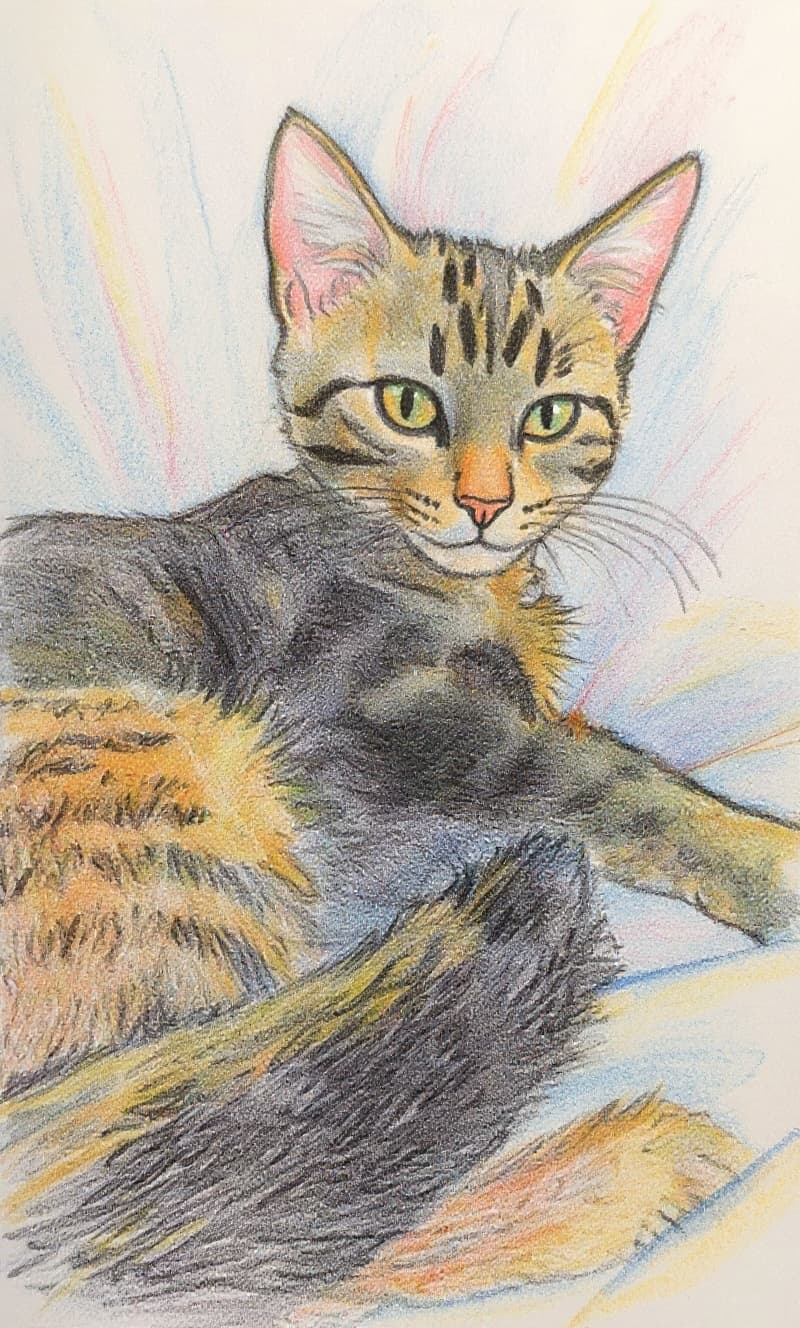 Transform image to sketch art style