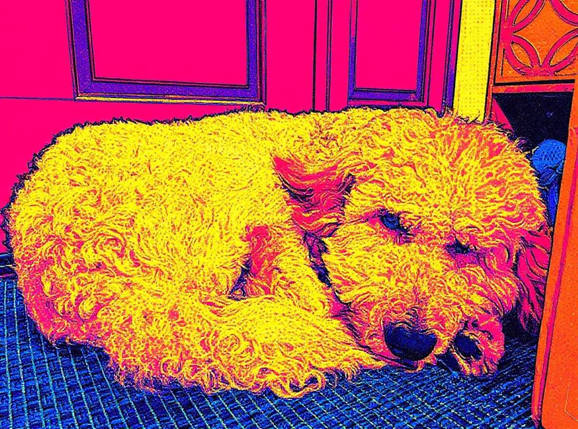 Transform image to pop-art art style